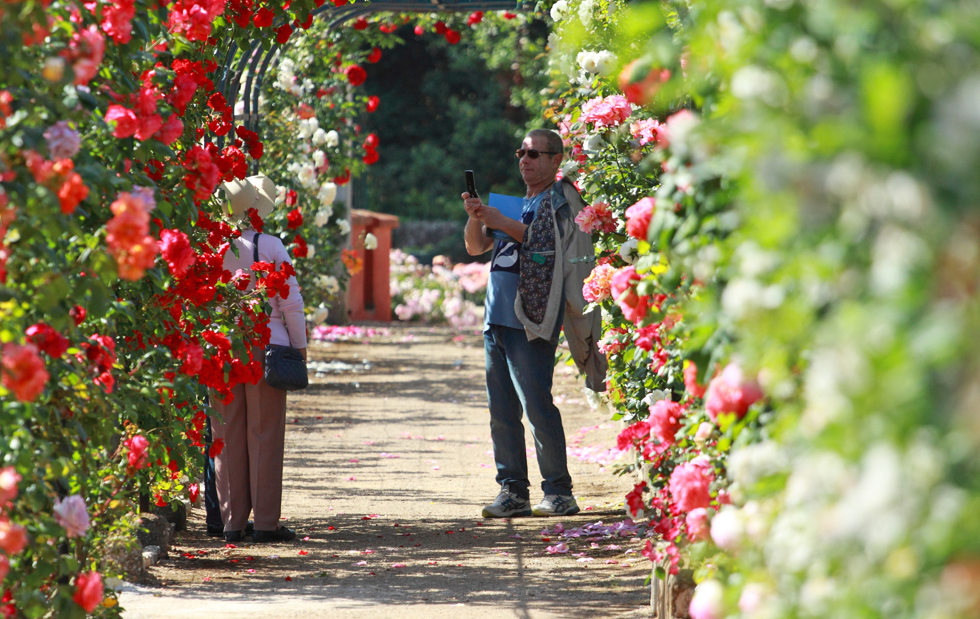 villa-eilenroc-cap-d'antibes-rose-gardens-open-day