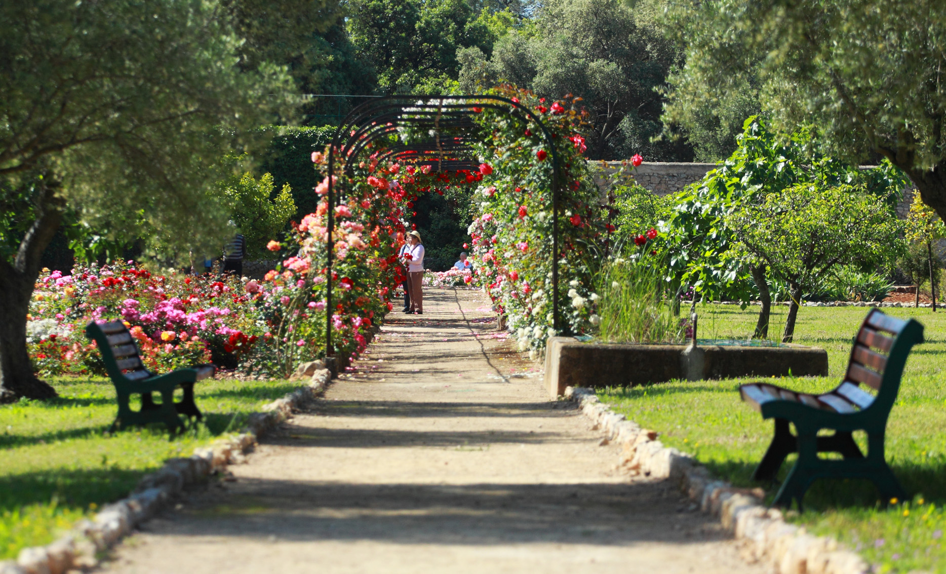 villa-eilenroc-cap-d'antibes-rose-gardens-open-day