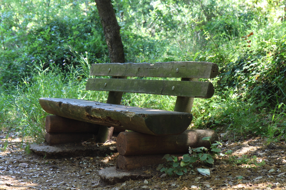 walk-to-the-lighthouse-bench