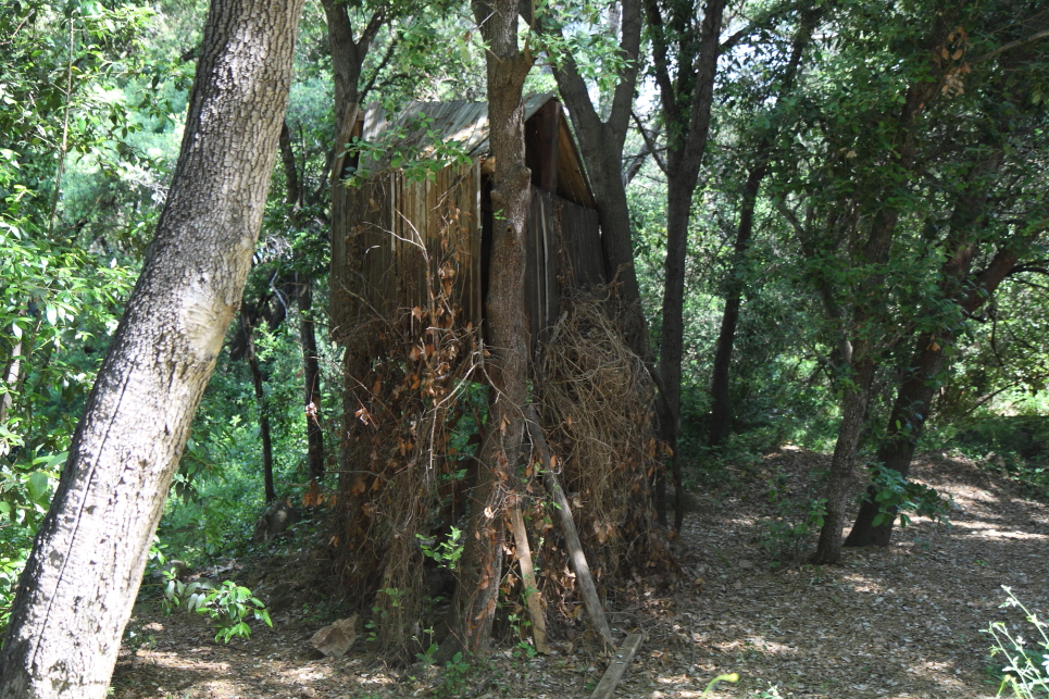 walk-to-the-lighthouse-tree-house