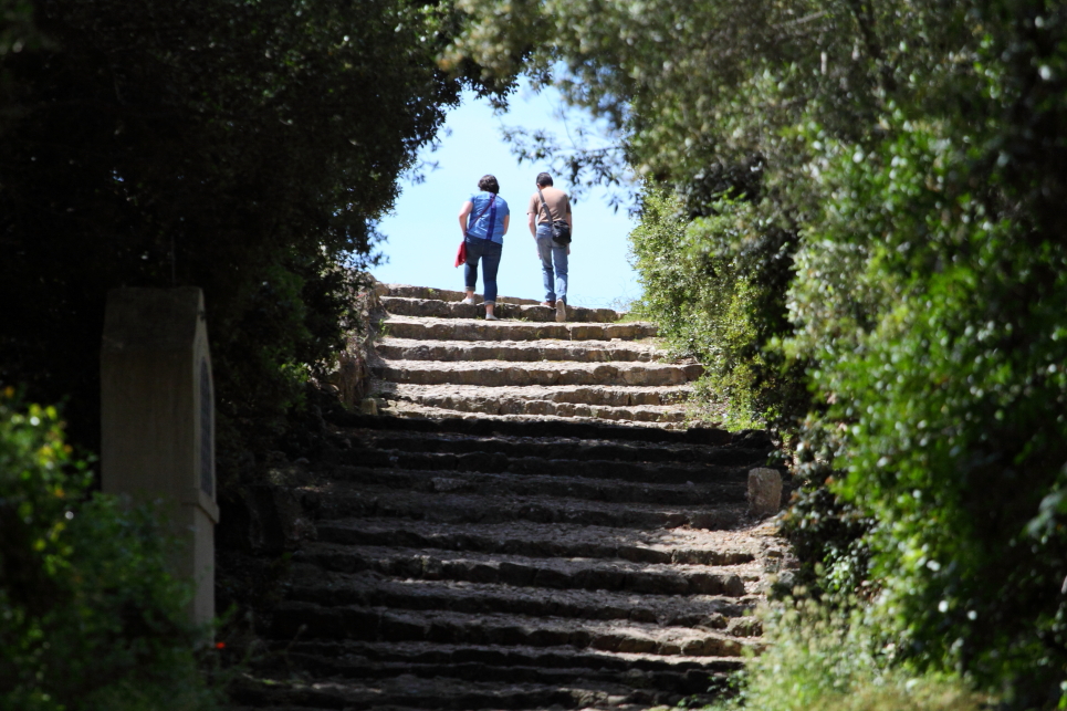 walk-to-the-lighthouse