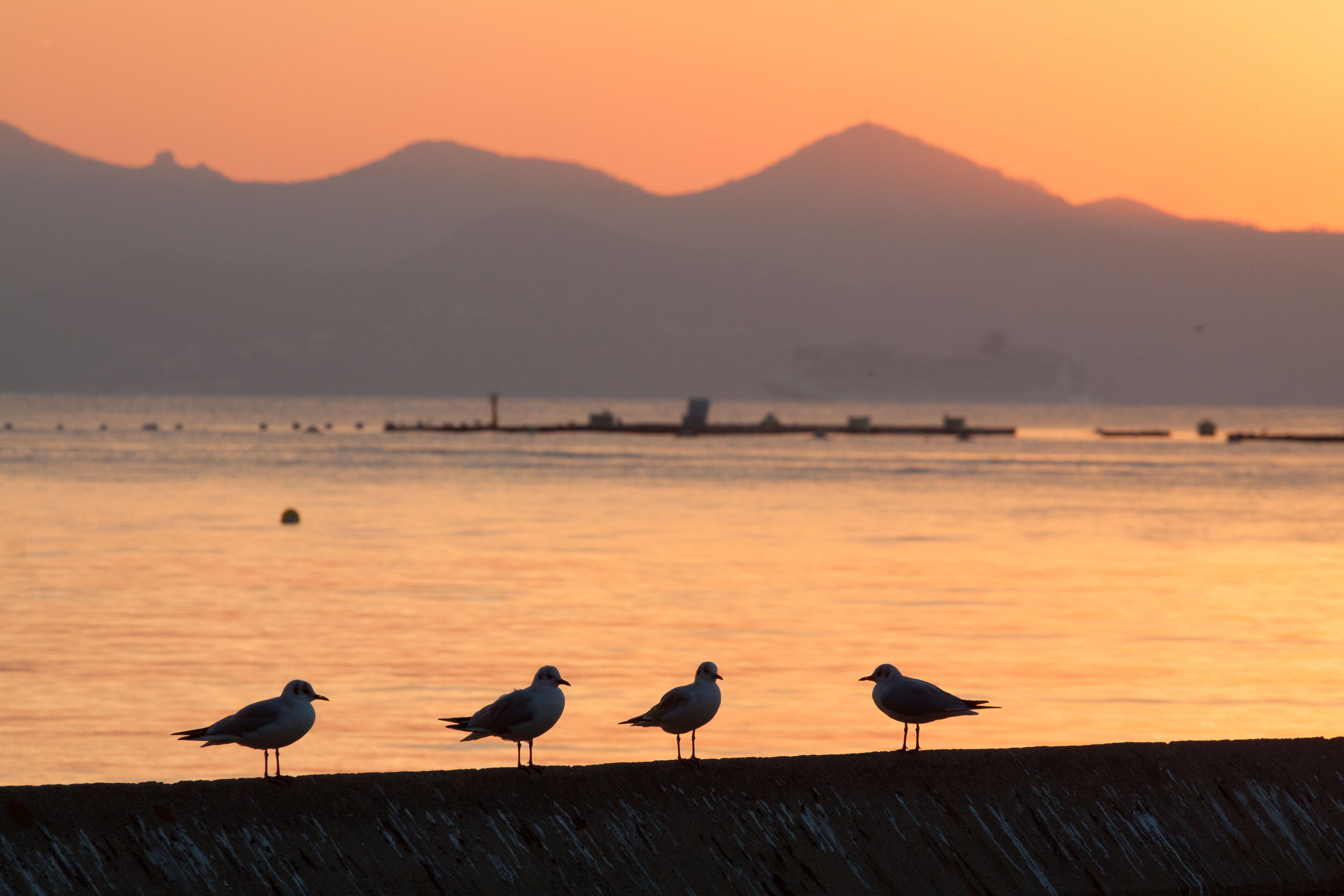 Cap d'Antibes Sunsets