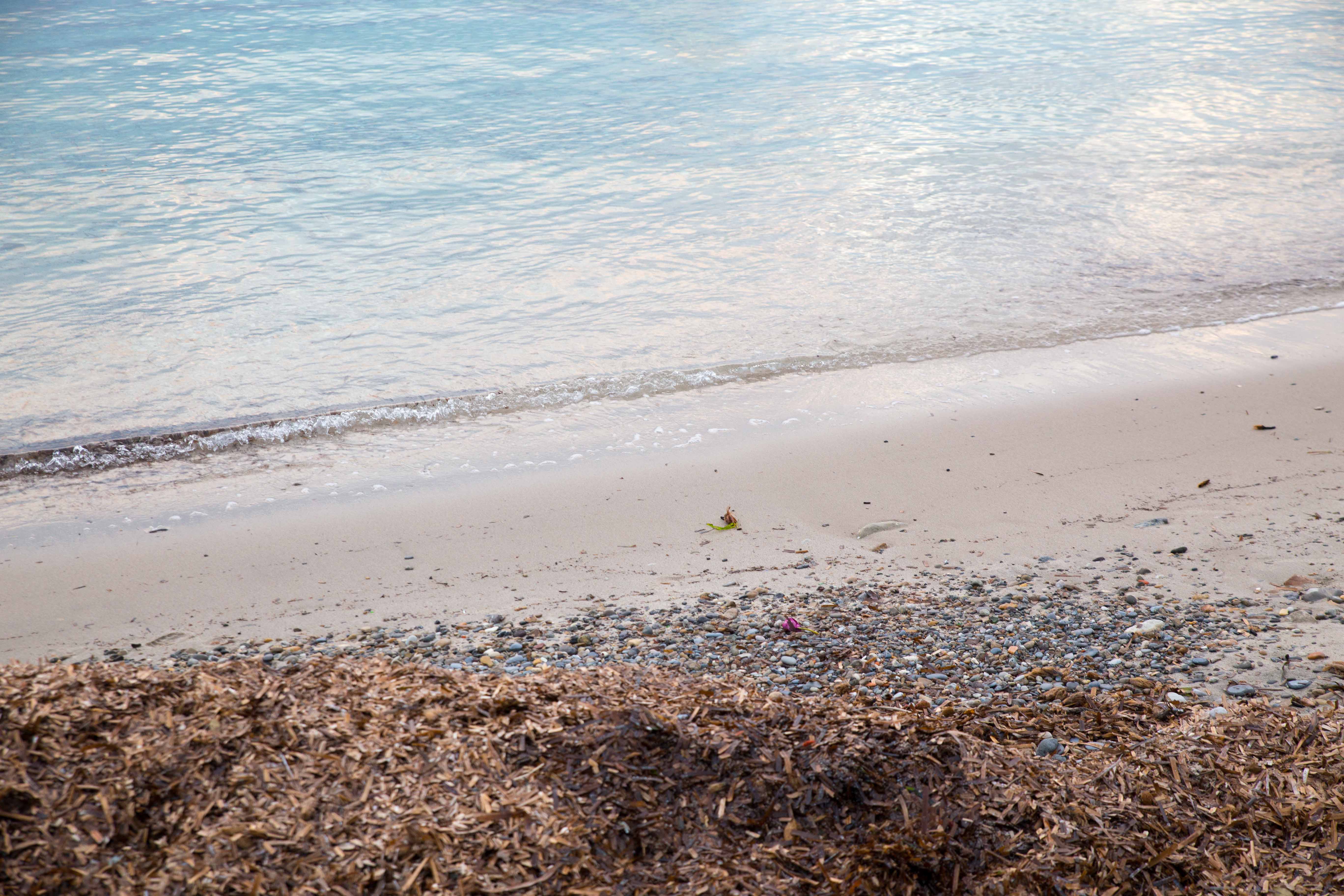 Photographing-plage-des-ondes