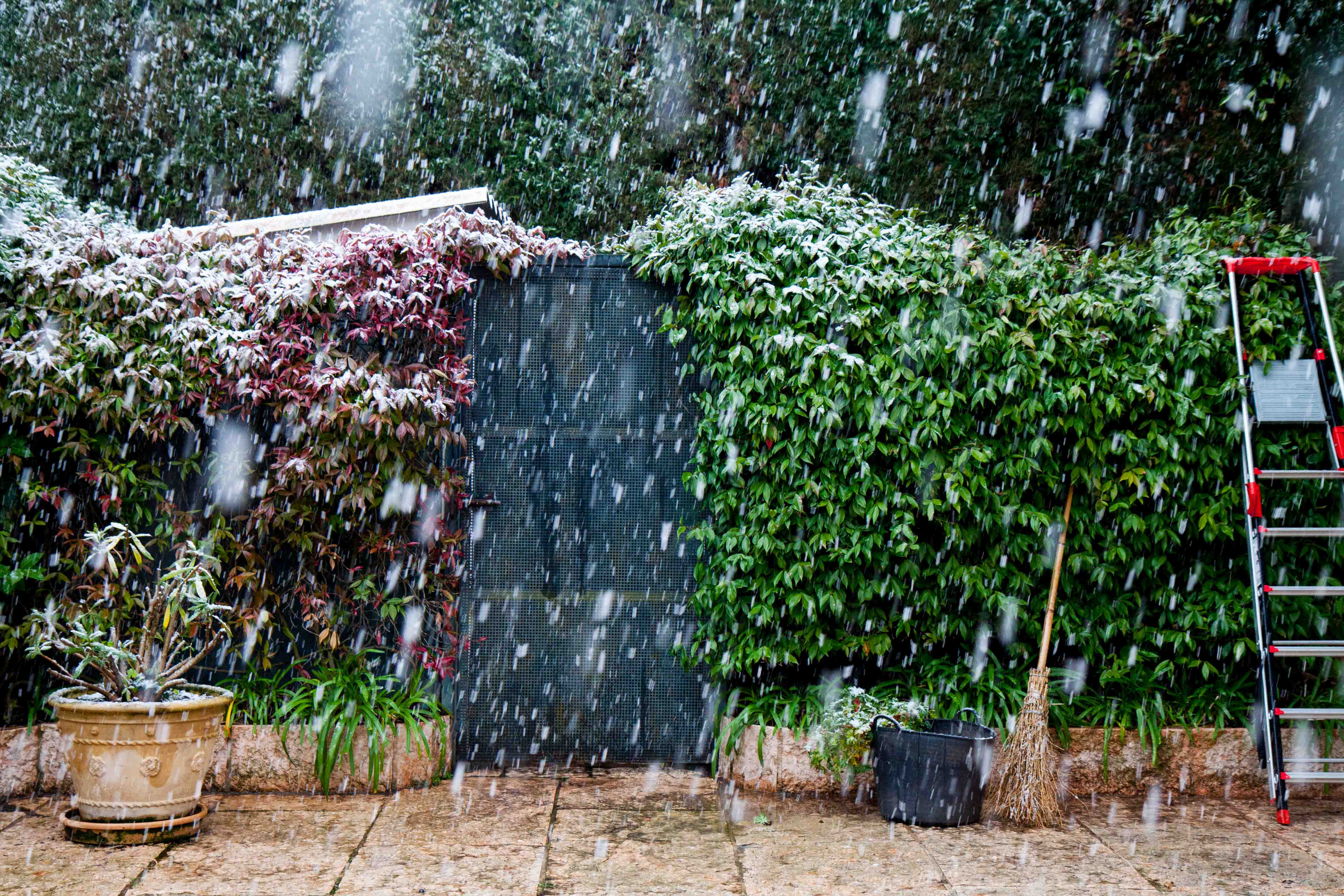 snow-in-Cap-d'Antibes