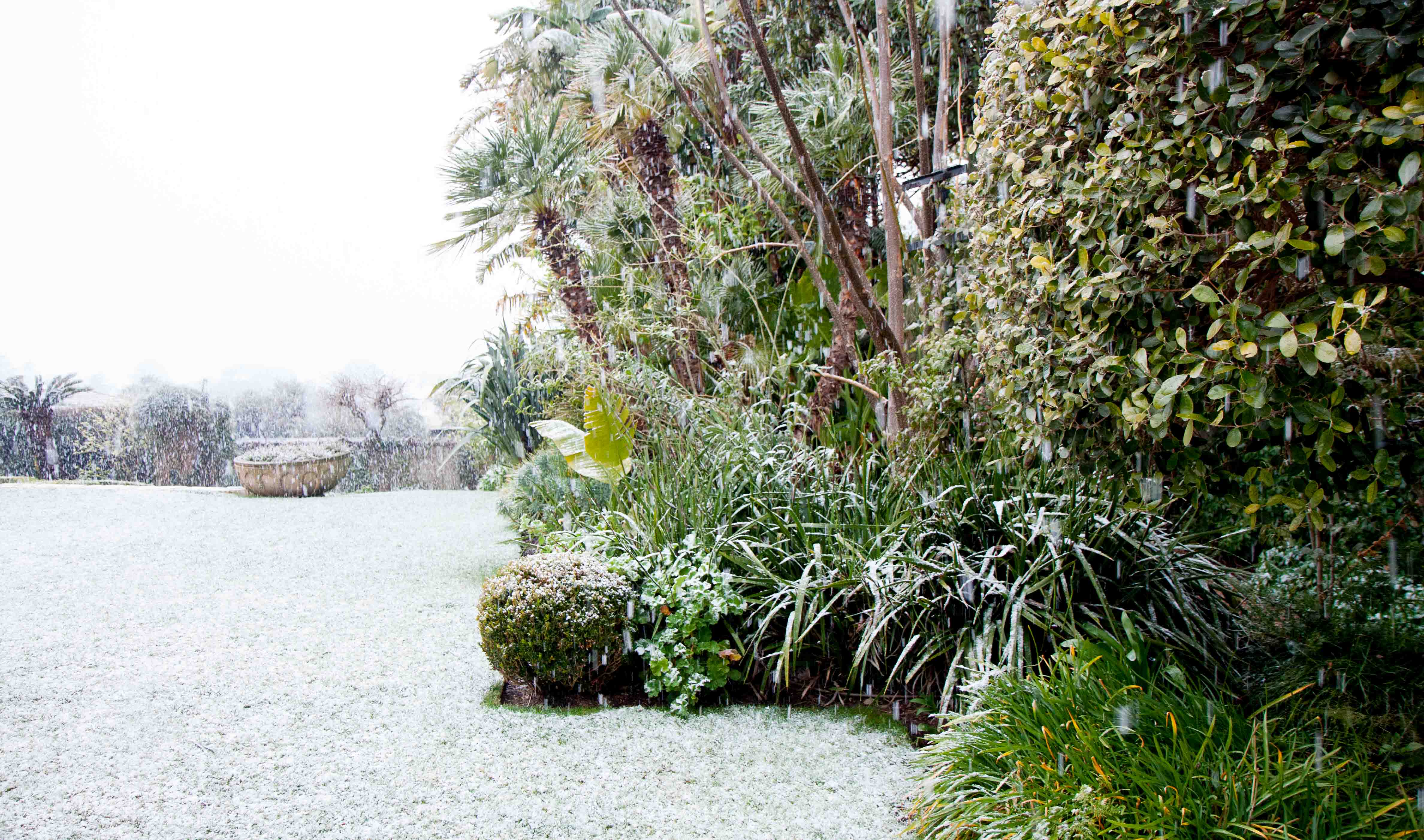 snow-in-Cap-d'Antibes