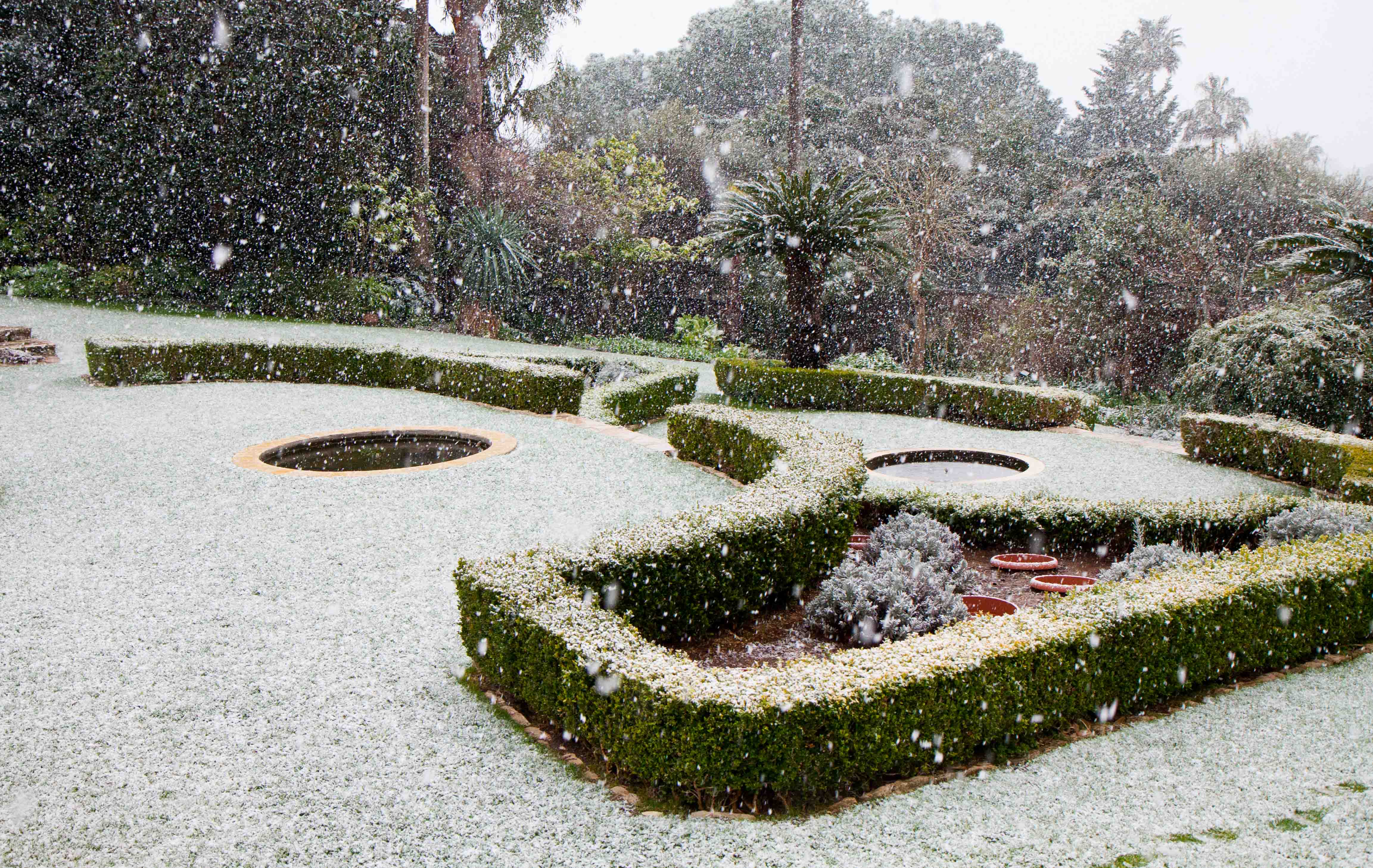 snow-in-Cap-d'Antibes