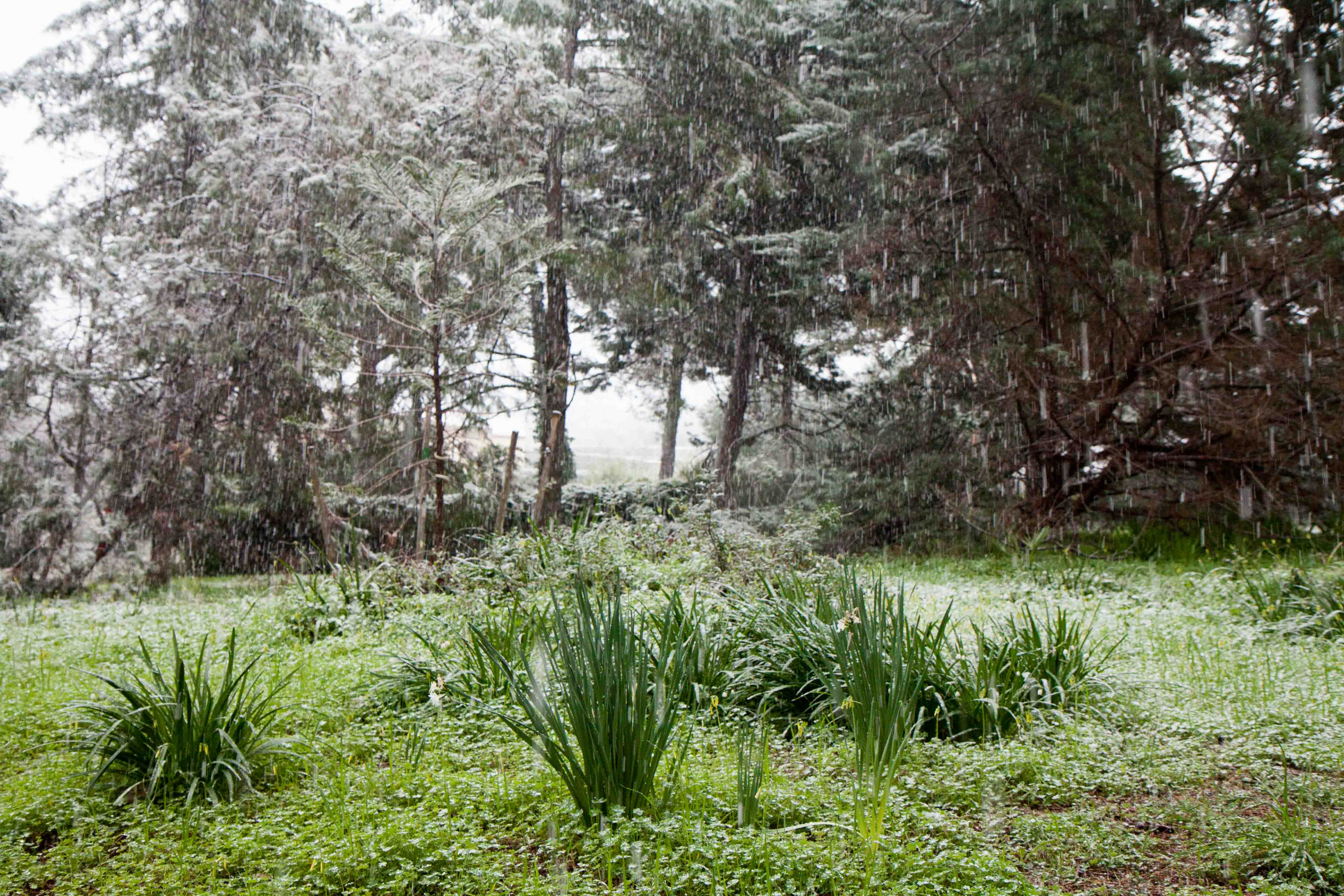 snow-in-Cap-d'Antibes