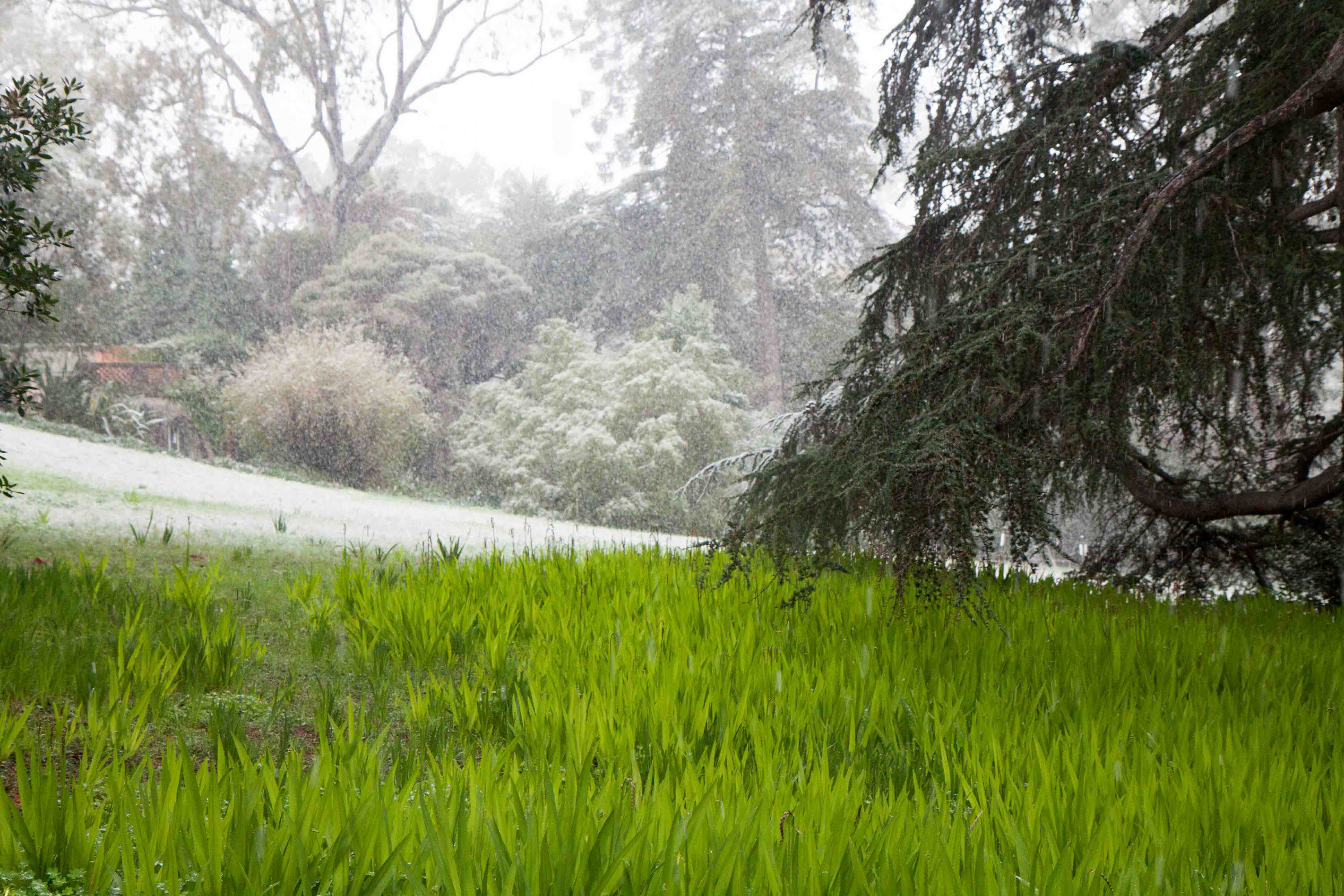 snow-in-Cap-d'Antibes