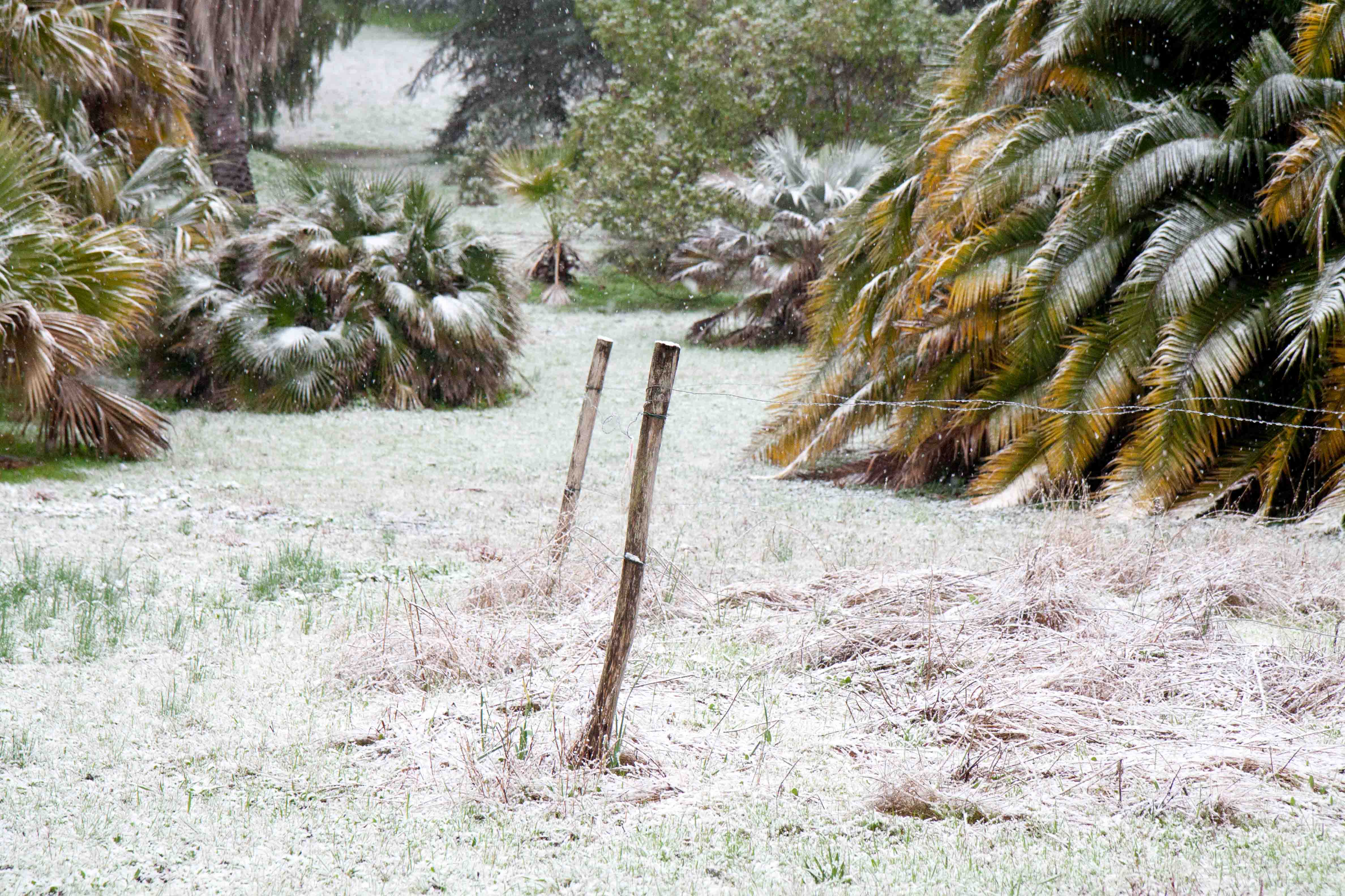 snow-in-Cap-d'Antibes