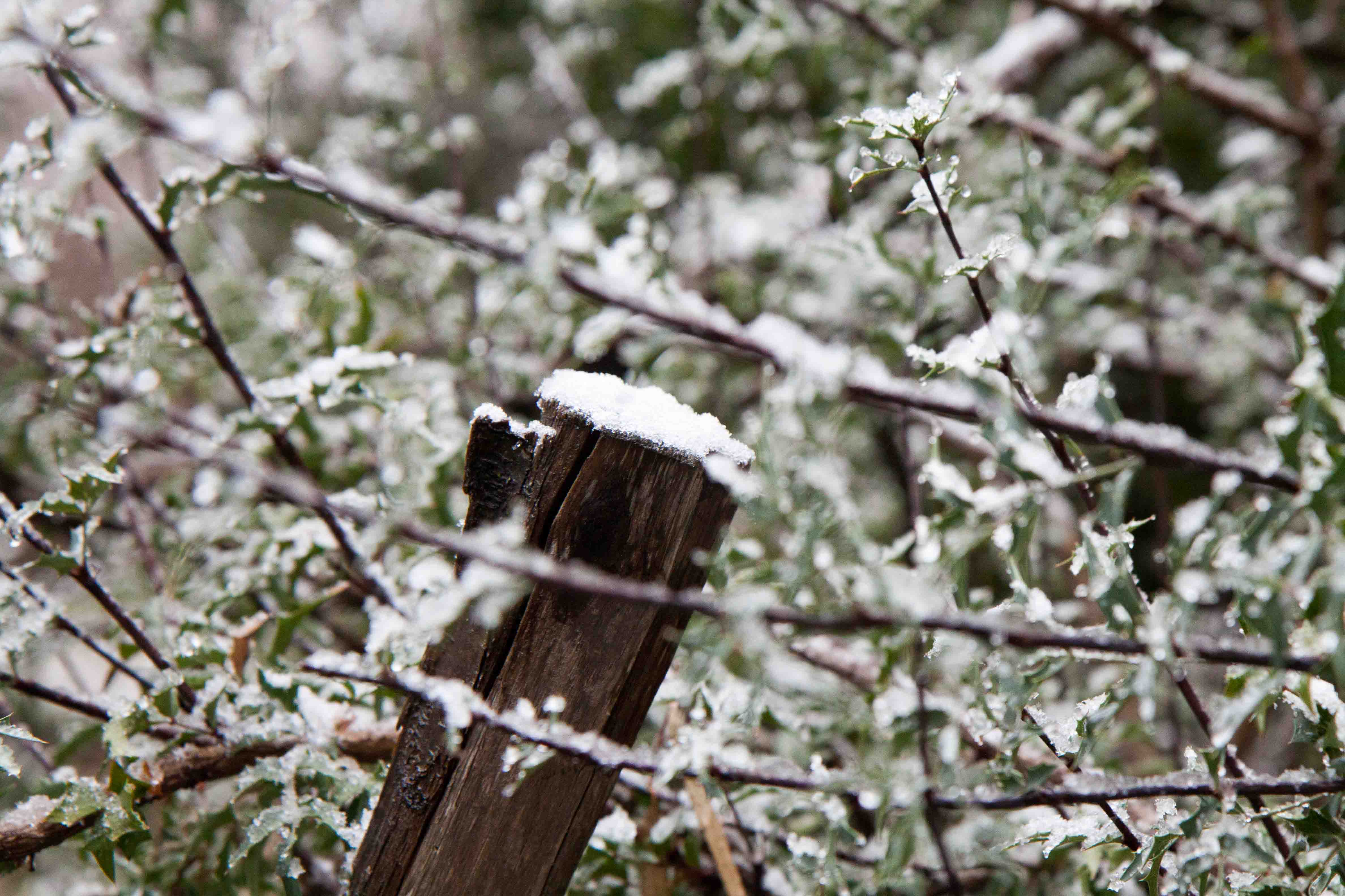 snow-in-Cap-d'Antibes