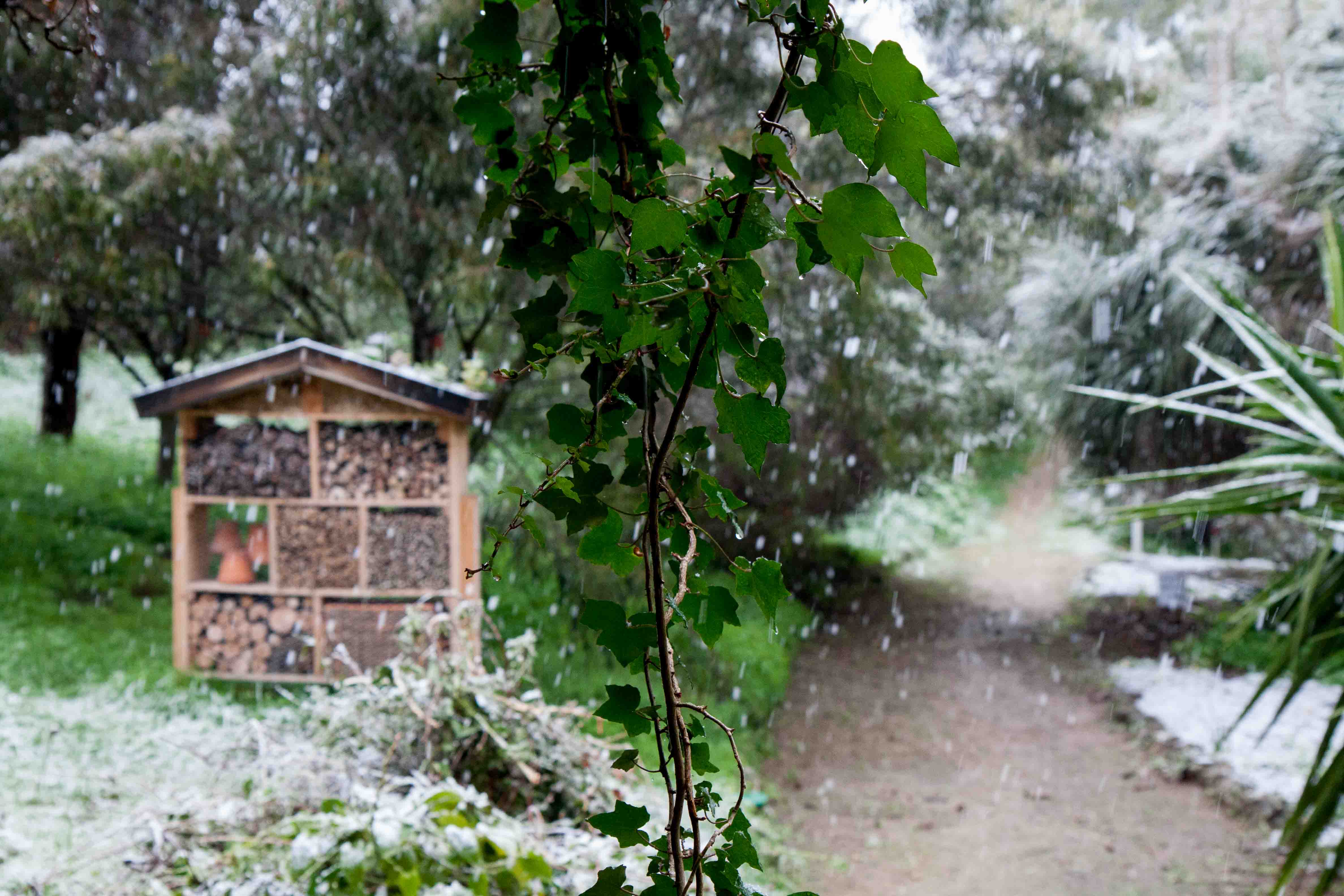 snow-in-Cap-d'Antibes