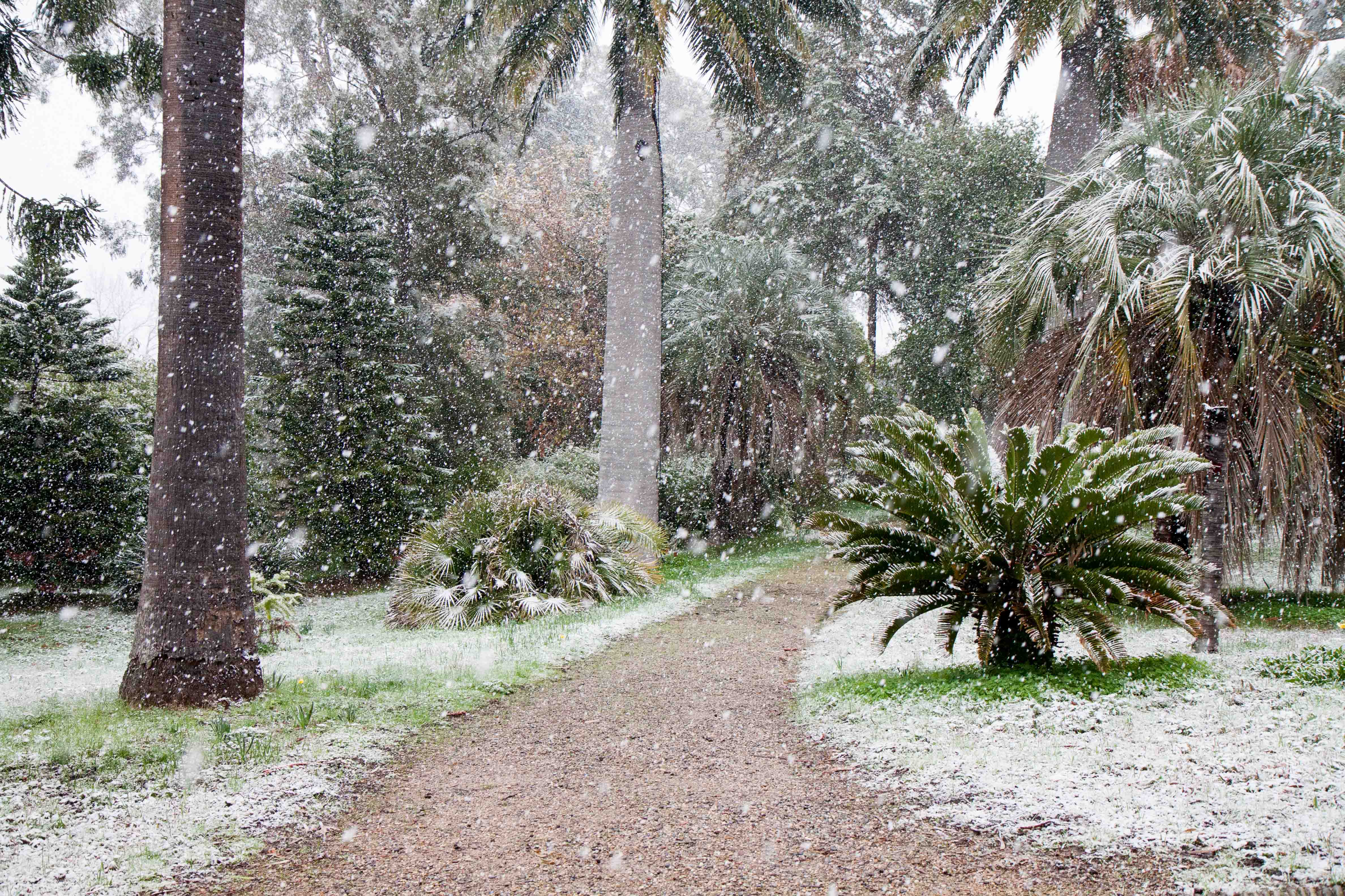 snow-in-Cap-d'Antibes