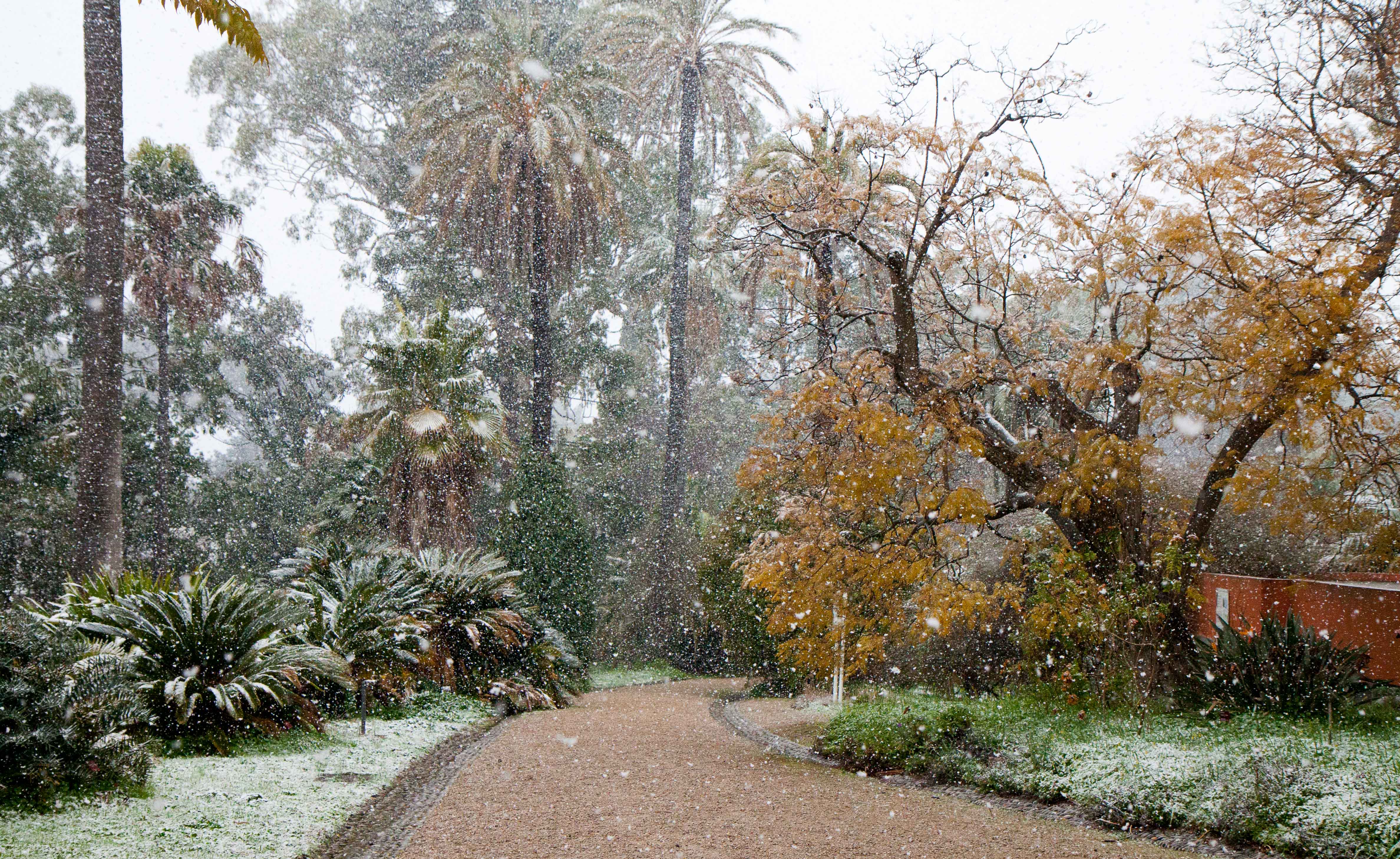 snow-in-Cap-d'Antibes