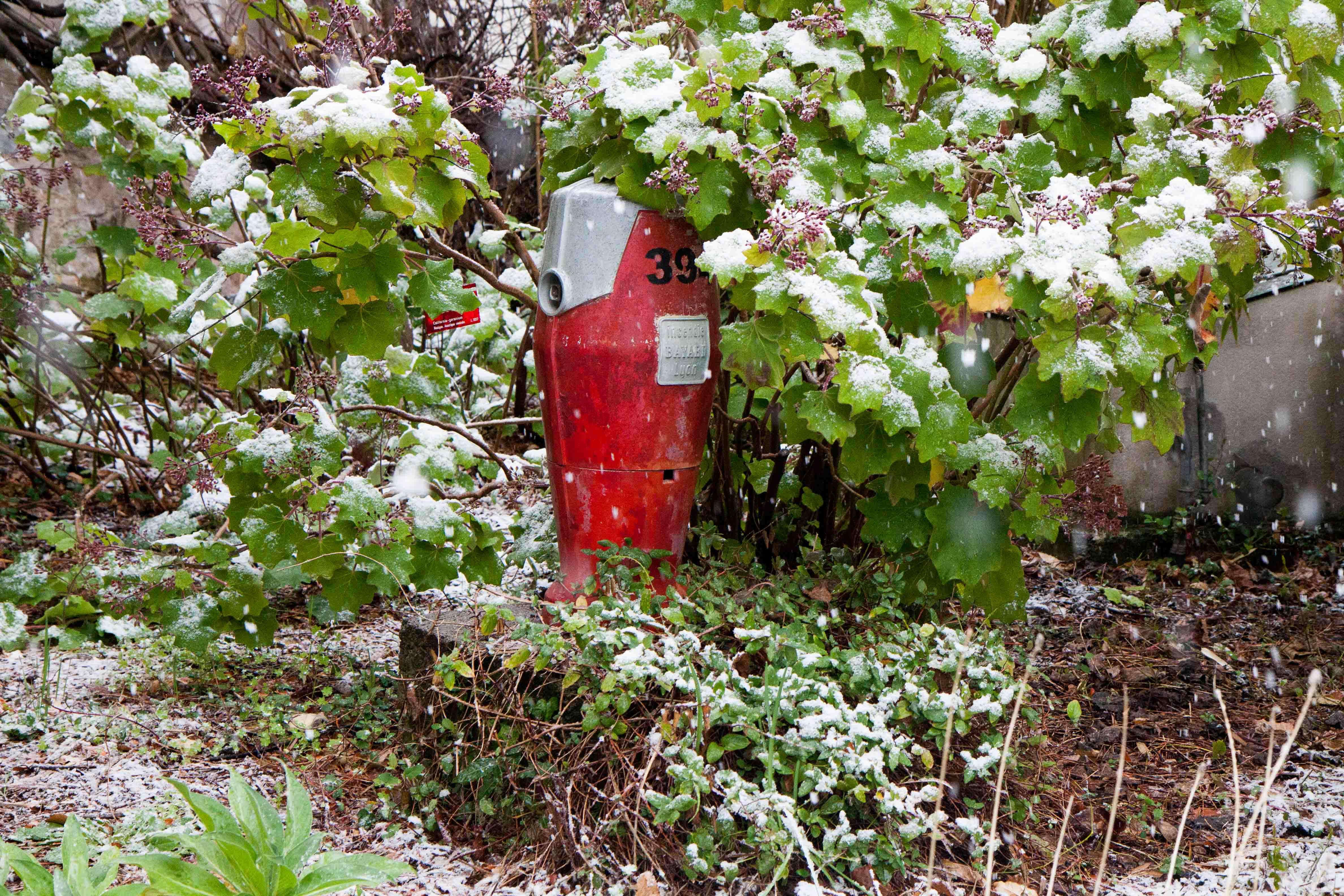 snow-in-Cap-d'Antibes