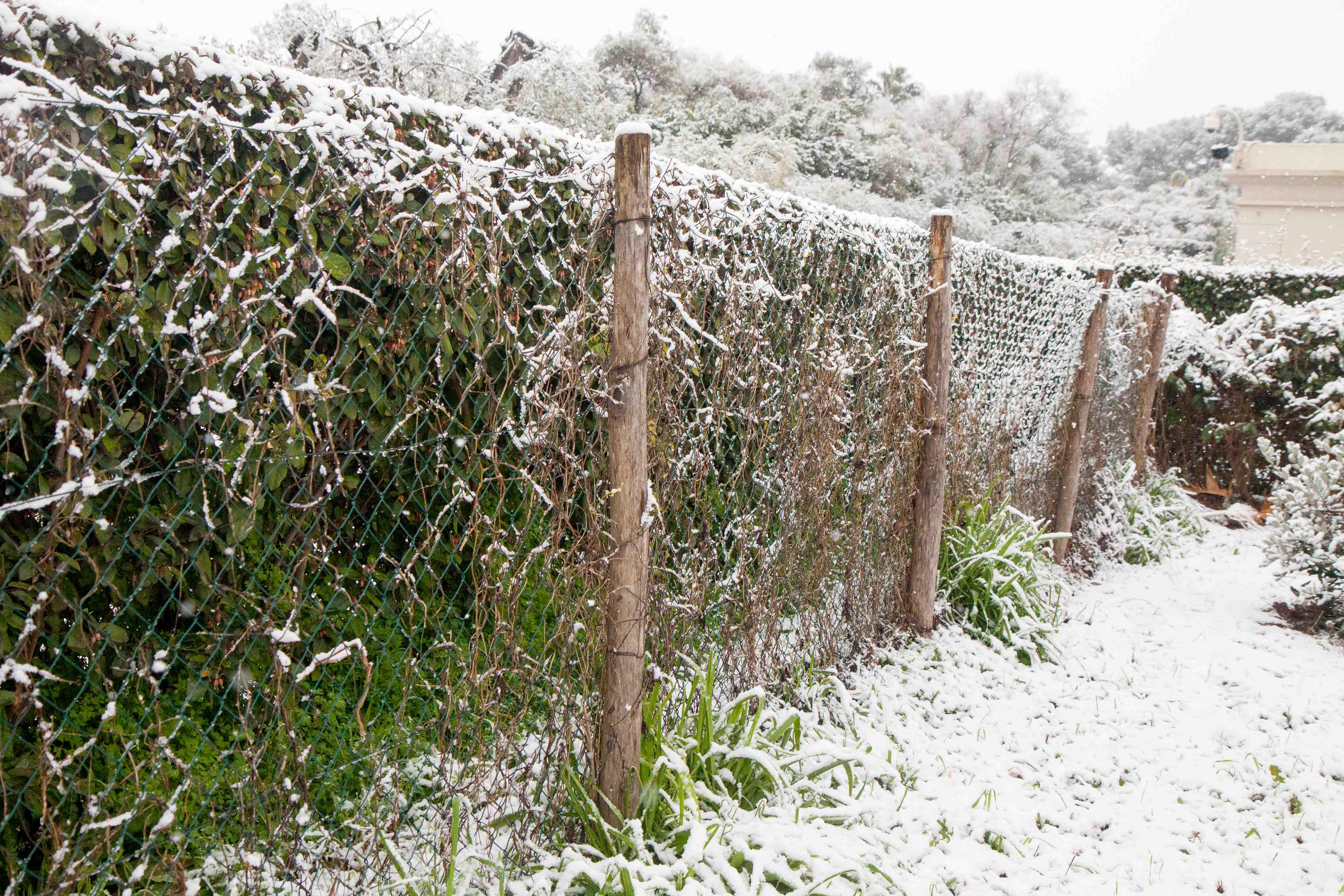 snow-in-Cap-d'Antibes