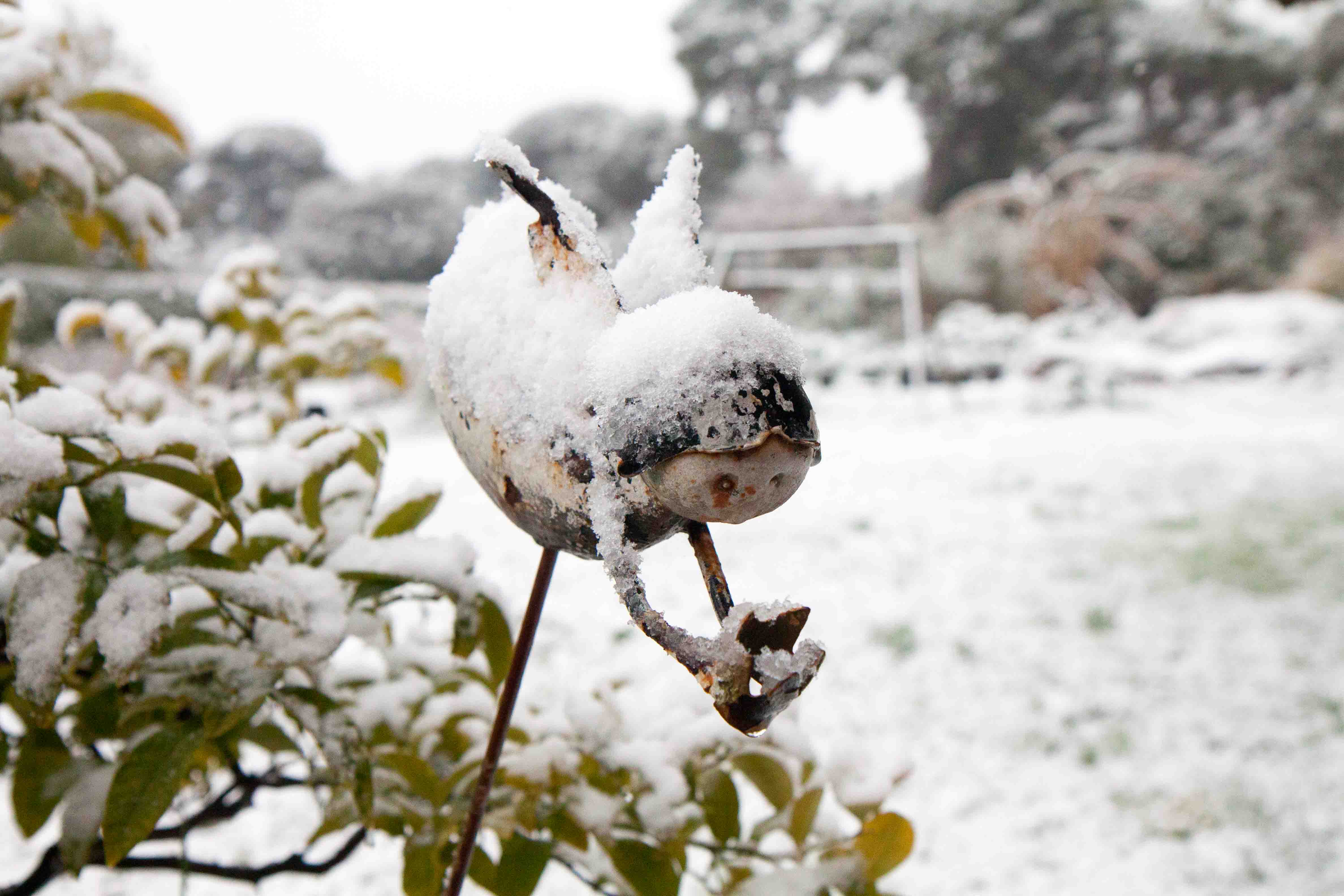 snow-in-Cap-d'Antibes