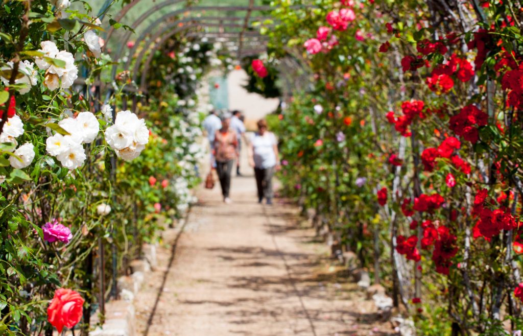 flower festival