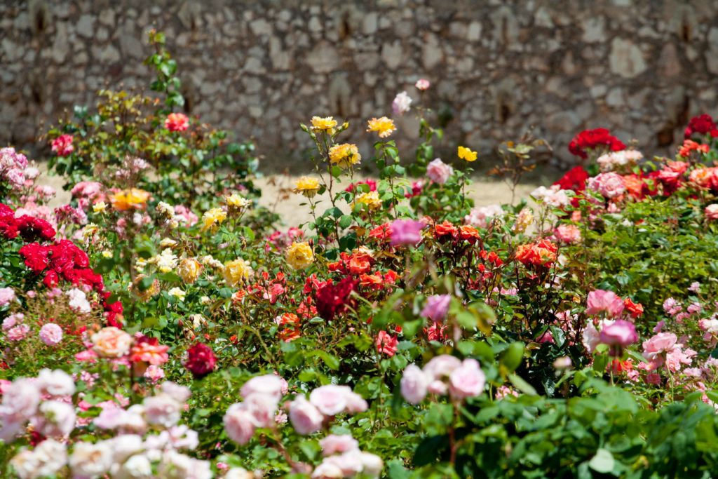 flower festival