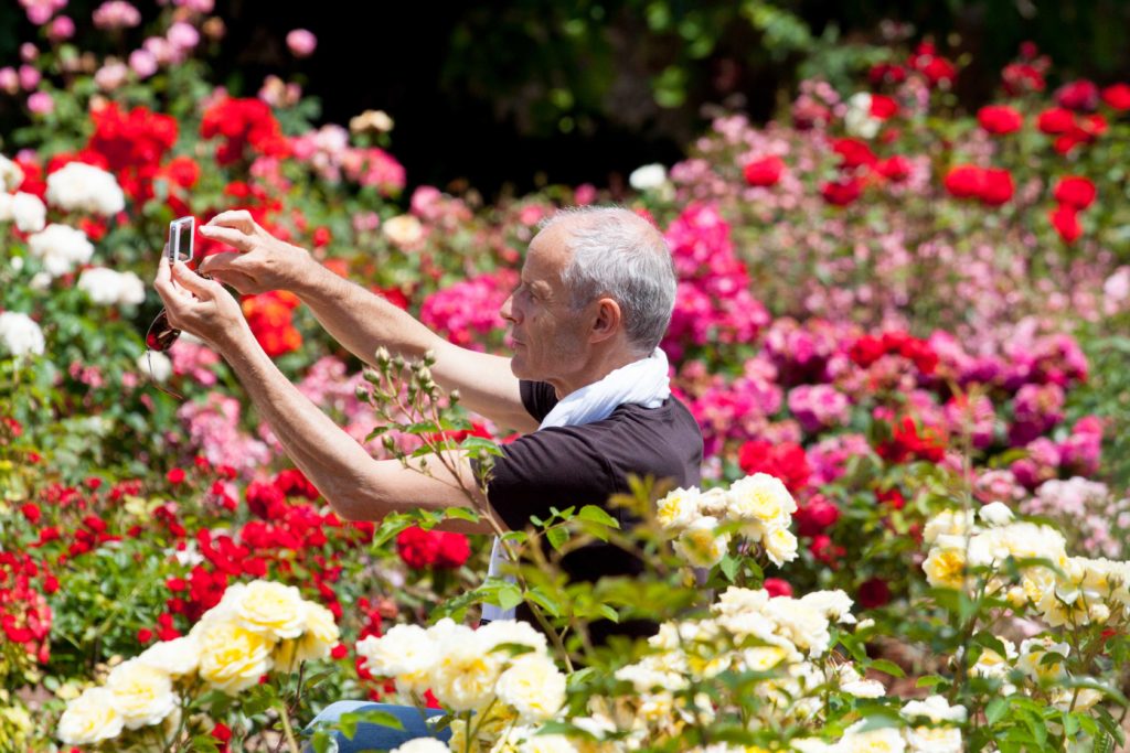 flower festival