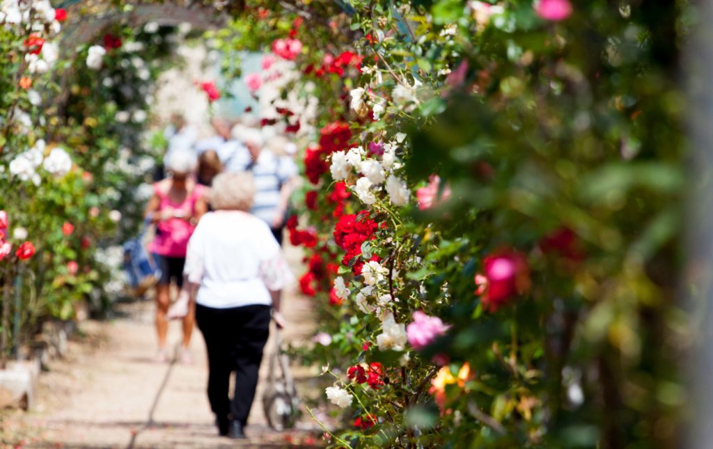 flower festival