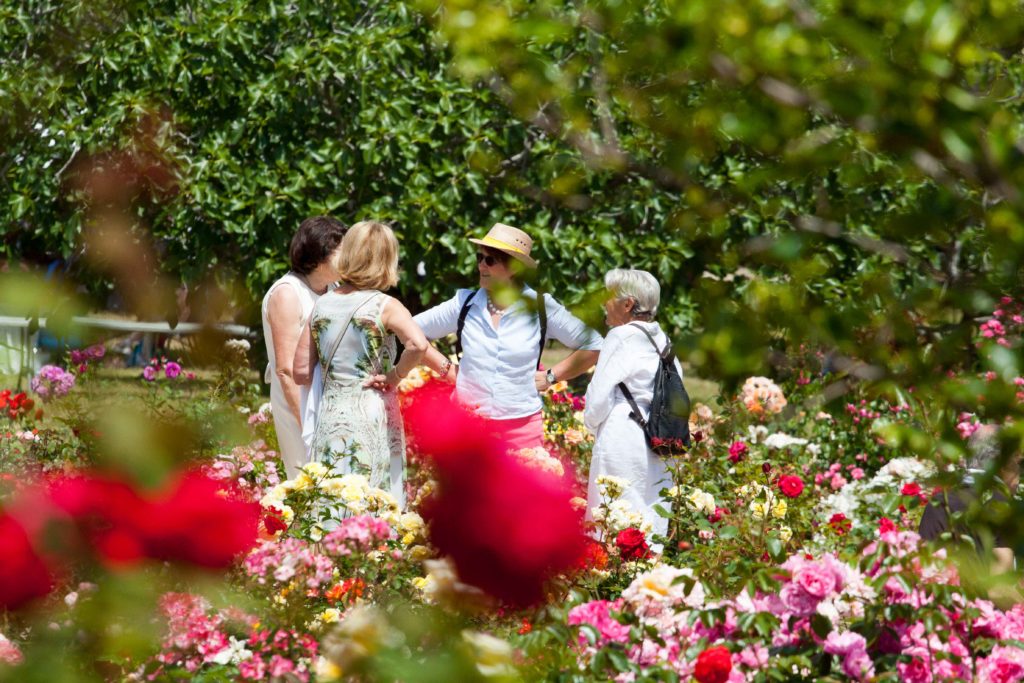 flower festival