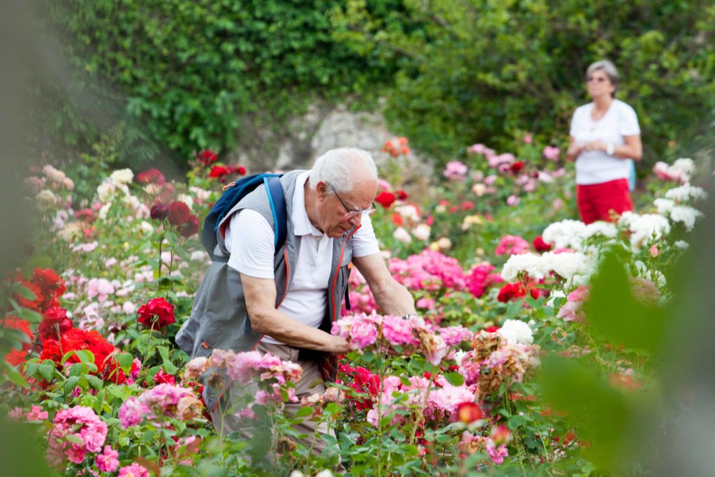 flower festival