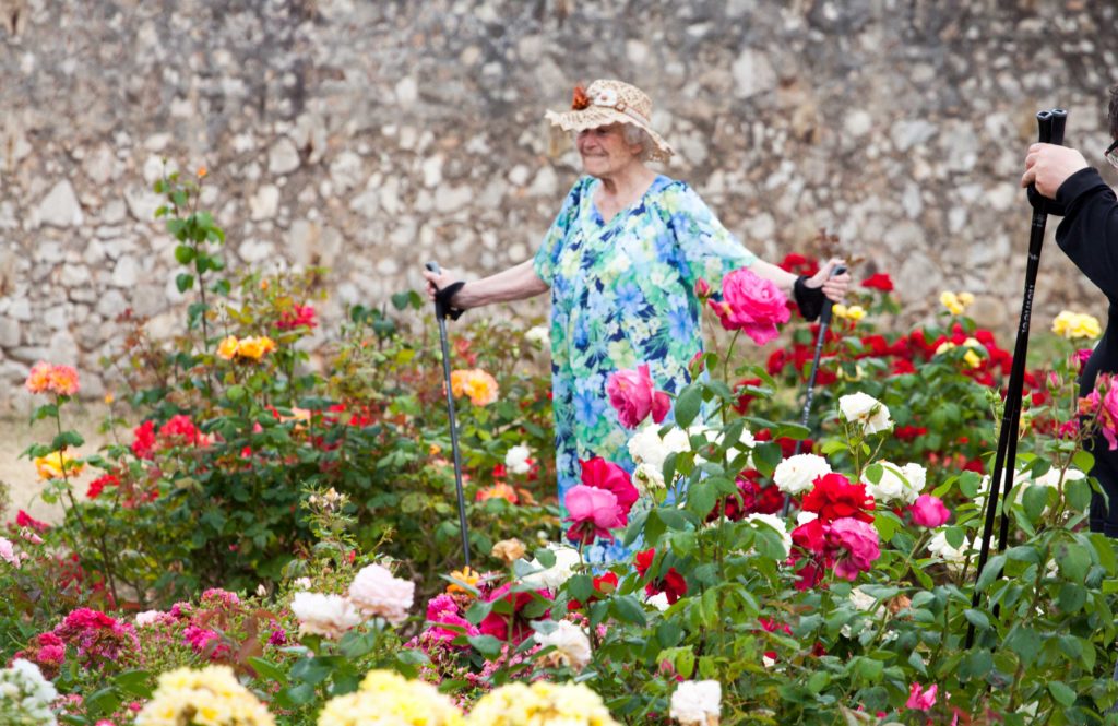 flower festival