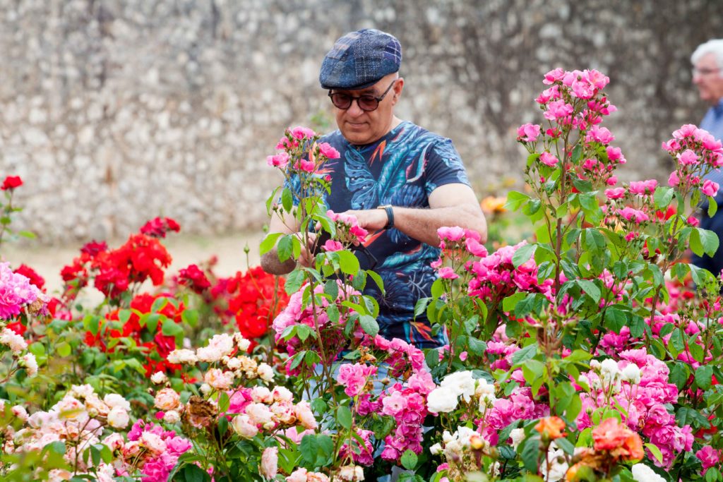 flower festival