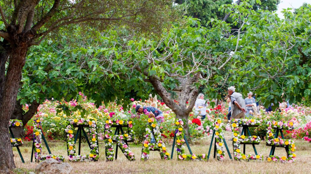 flower festival