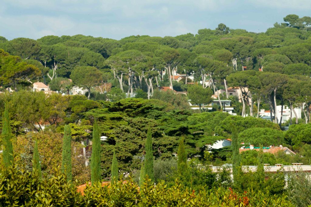 Autumn Cap d'Antibes