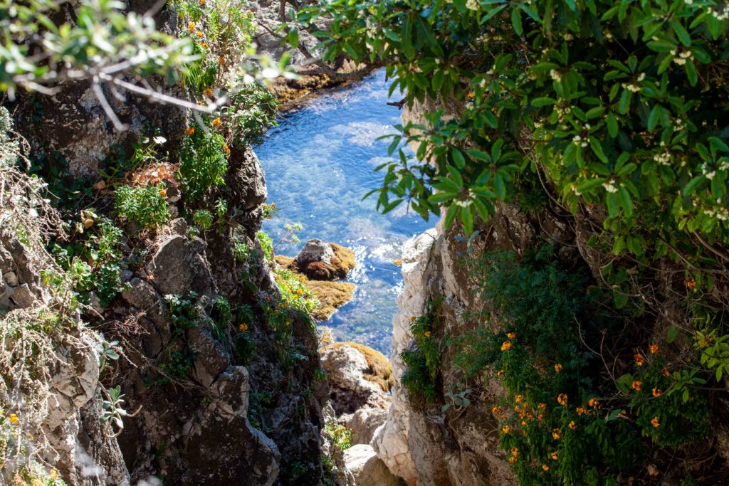 sentier du littoral cap d'Antibes