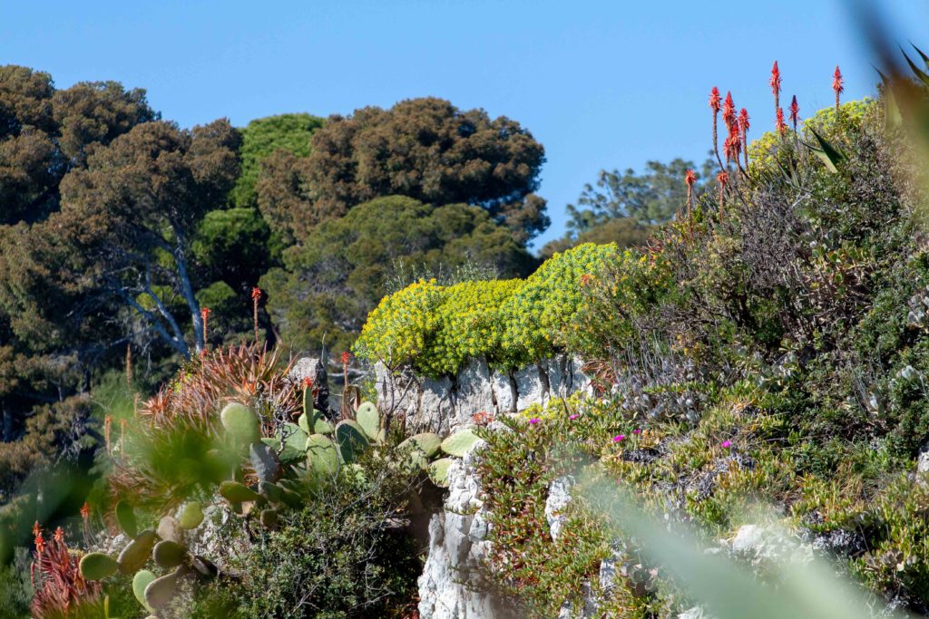 sentier du littoral cap d'Antibes