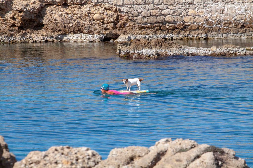 swimmers Cap d'Antibes