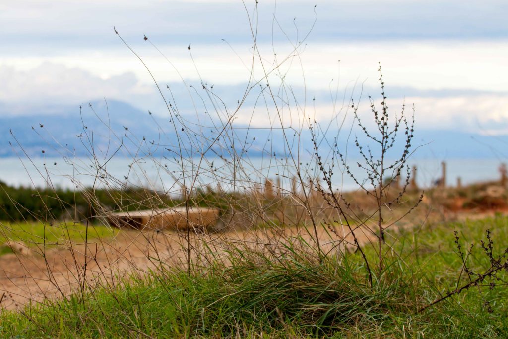 le Sentier du Littoral