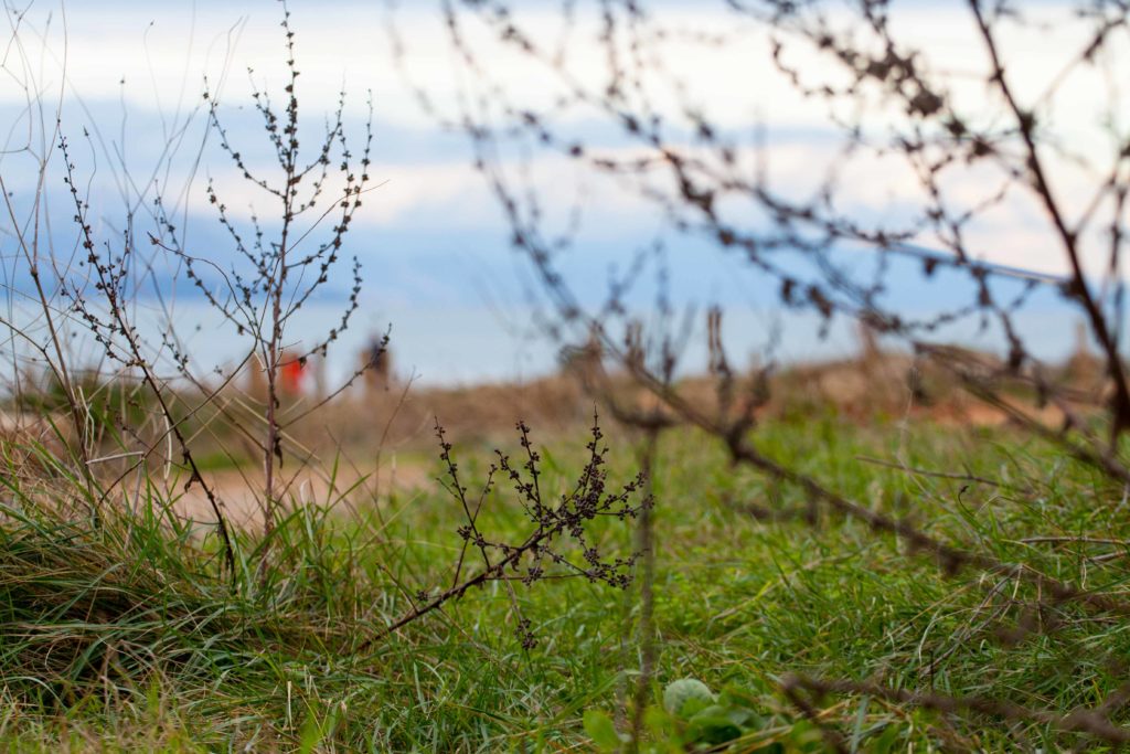 le Sentier du Littoral