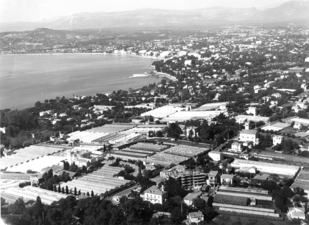 Cap d'Antibes 1950