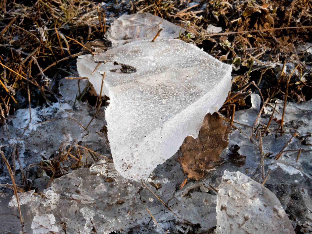 frozen puddle